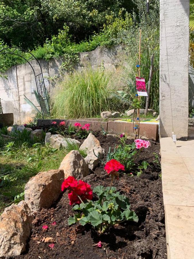 Villa Mihaela Ičići Екстериор снимка